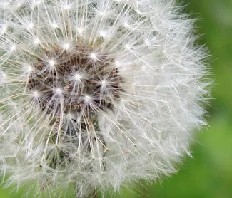 are-you-prepared-for-allergy-season