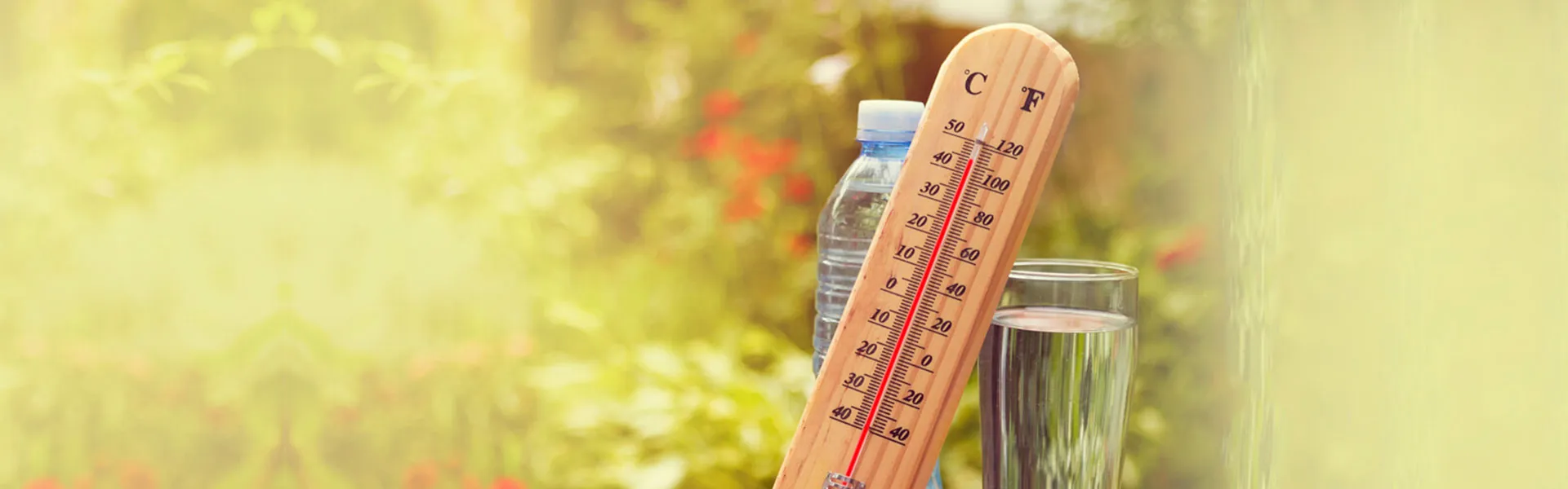 3-summer-dangers-you-need-to-know-about